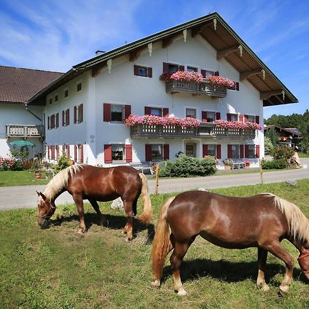 Heutauer Hof Villa Siegsdorf Dış mekan fotoğraf