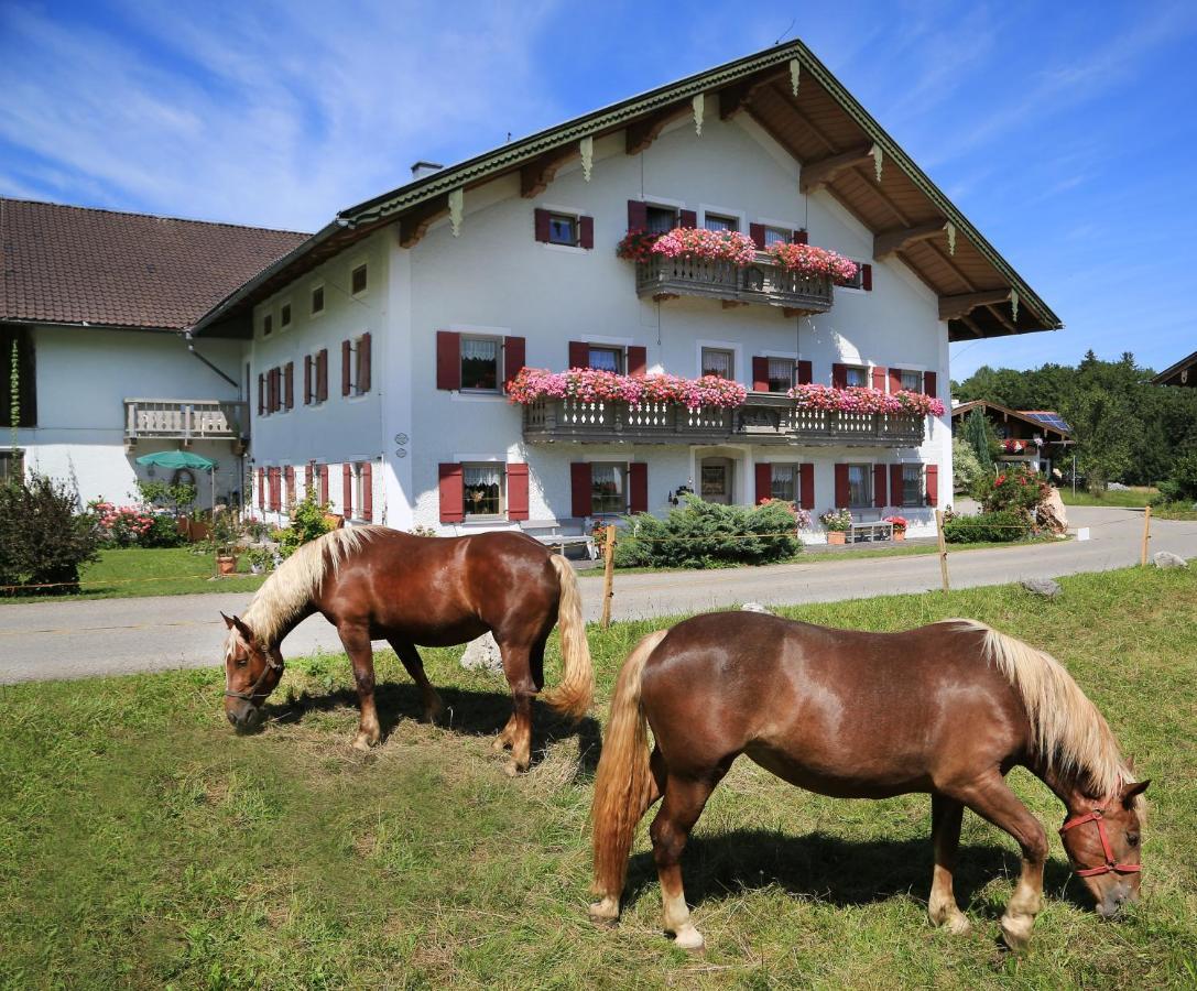Heutauer Hof Villa Siegsdorf Dış mekan fotoğraf